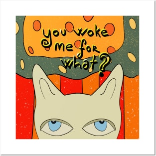 you woke me for what? Posters and Art